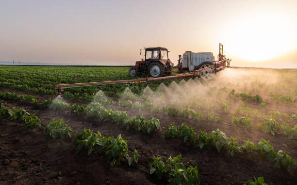 Best Mosquito Control Services  in Snoqualmie, WA