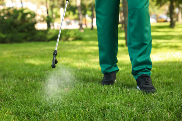 Professional Pest Control in Snoqualmie, WA