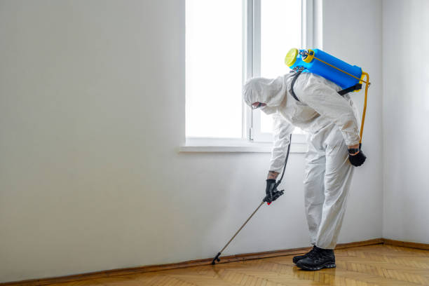 Best Wildlife Control Services  in Snoqualmie, WA