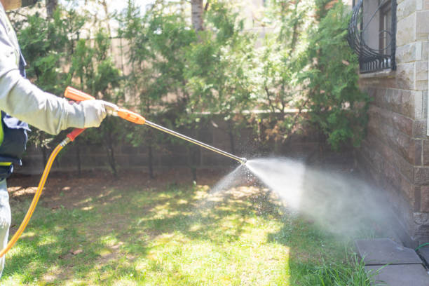 Best Pest Control Near Me in Snoqualmie, WA