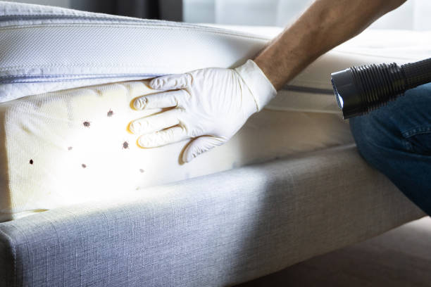 Best Best Pest Control Companies  in Snoqualmie, WA