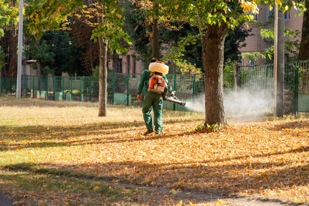 Best Affordable Pest Control Services  in Snoqualmie, WA