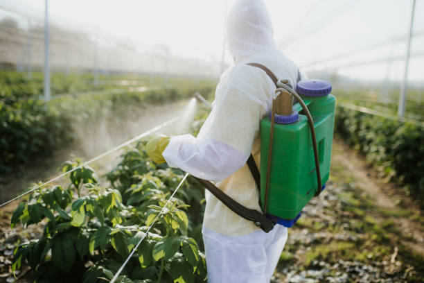 Best Best Pest Control Companies  in Snoqualmie, WA